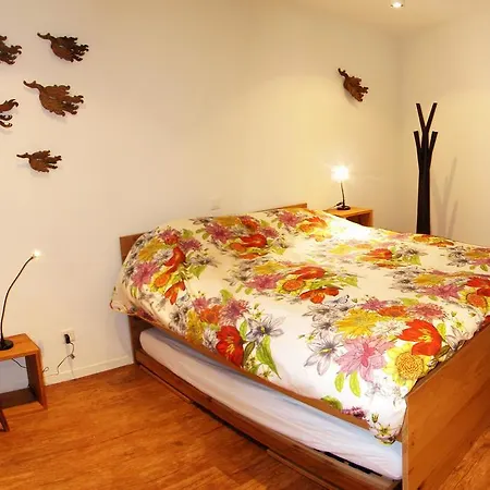 Daire Dolomit Saas Fee